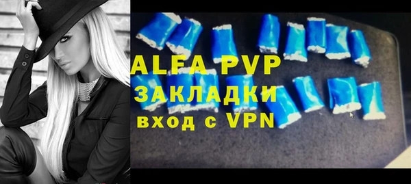 молекула духа Арсеньев