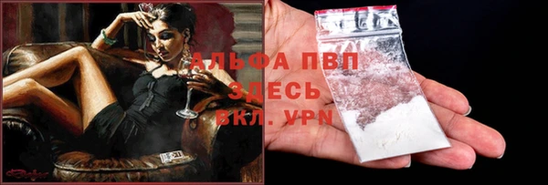 молекула духа Арсеньев