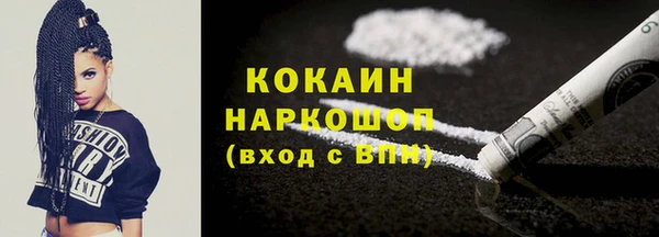 молекула духа Арсеньев