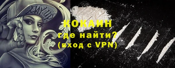 молекула духа Арсеньев