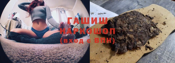 молекула духа Арсеньев