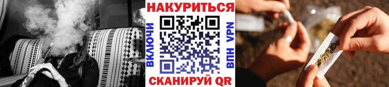 Каннабис планчик  Отрадный 